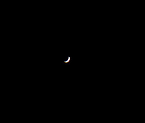 Crescent Venus-1